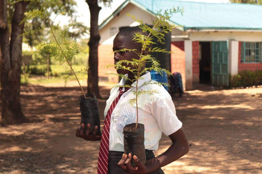 A pupil carrying tree seedlings for planting at school
