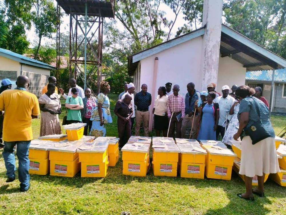 Economic Empowerment