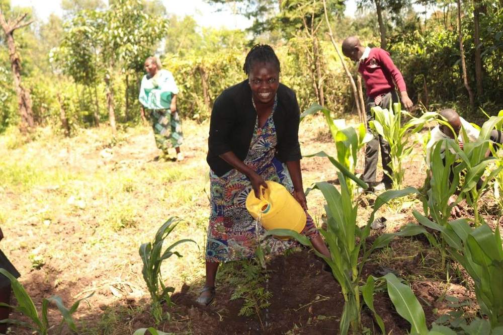 Inclusive Climate Change Adaptation (ICCA)
