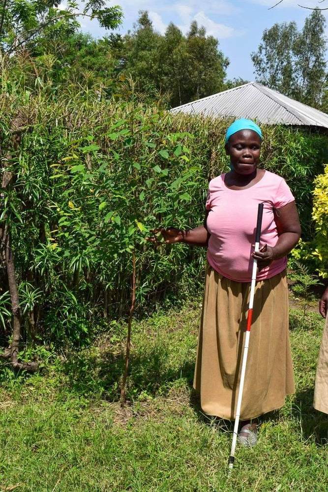 Livelihoods programme photo